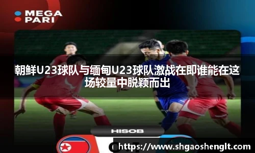 77体育官网
