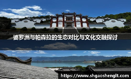 77体育平台